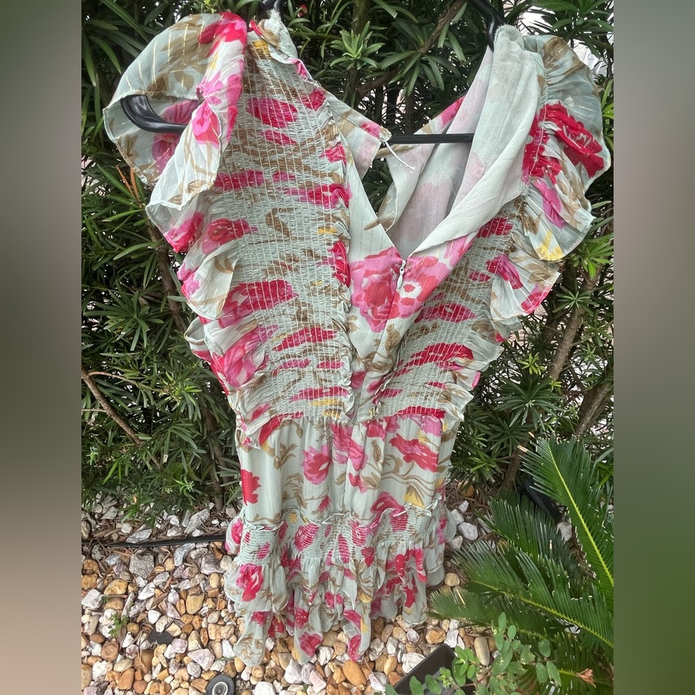 NWT Walter baker ruffle dress